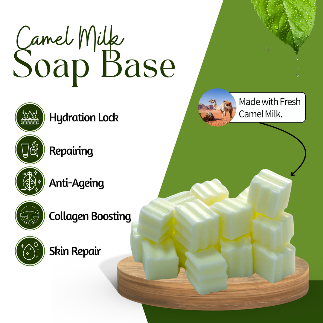 Camel Milk Soap Base-  Luxuriously Creamy